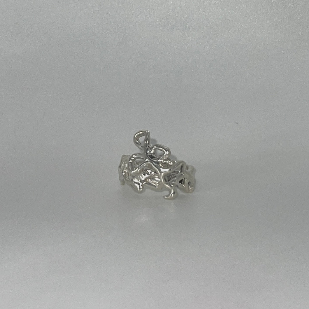 scleractinia ring