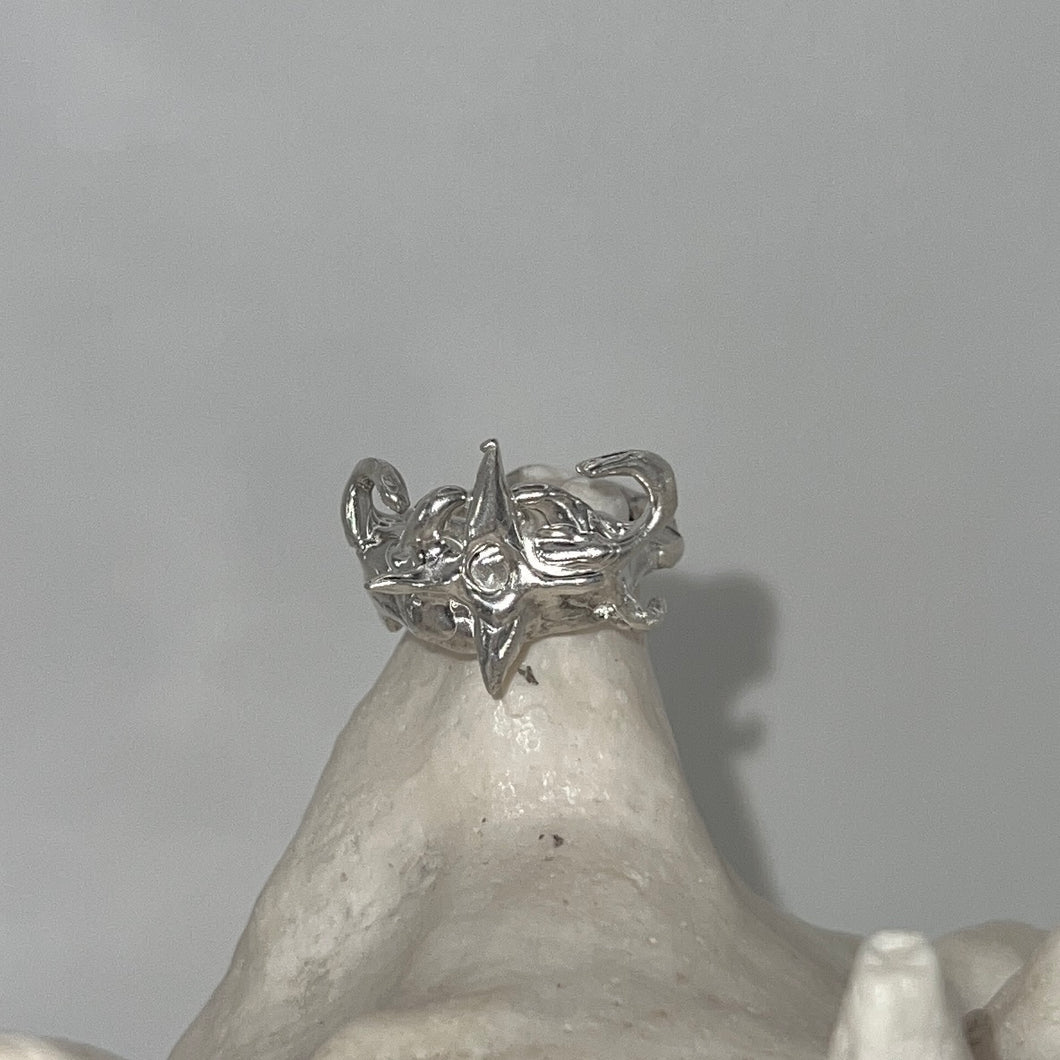 latitude ring
