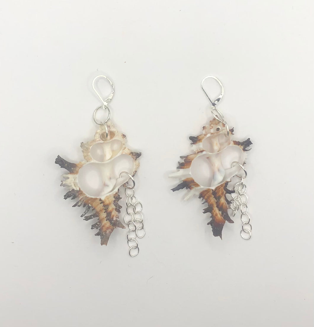 endiva earrings